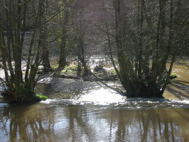 Mill Race below Dinham Weir