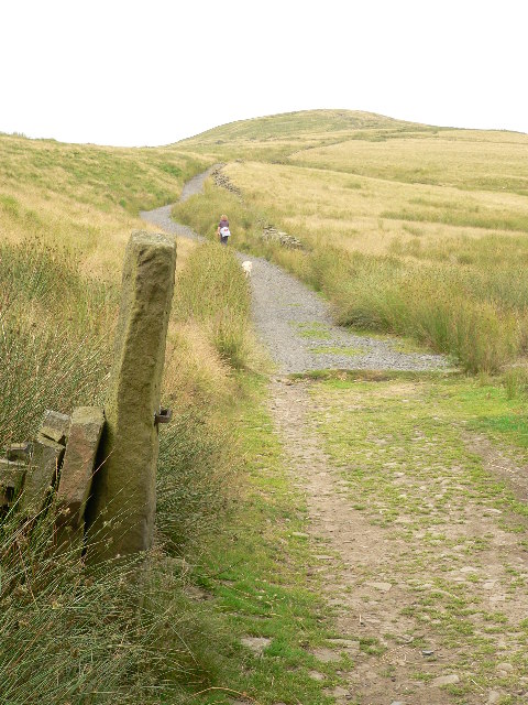 Wheelton Moor