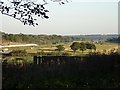 CTRL and M20 from Thurnham Lane