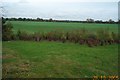 Burnham: West Town Farm