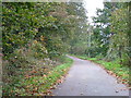 Icknield Way / Westmill Lane