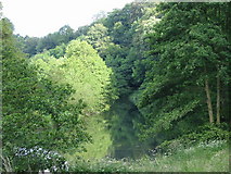 SO5074 : River Teme by Raymond Perry