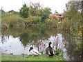 Cliddesden Village Pond