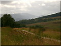 Path behind Craiganour Lodge