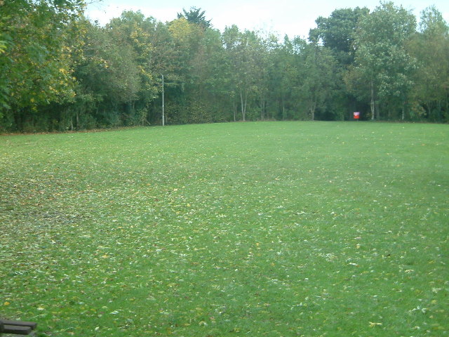 Local Playing Field