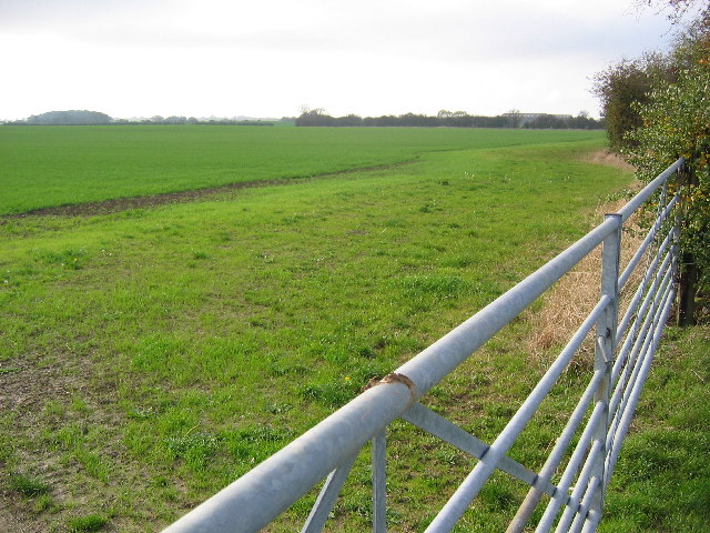 Farmland West of Withernwick