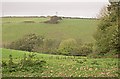 Valley to the north of Trewrickle Farm.