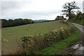 Country lane at the southern end of Marcle Hill