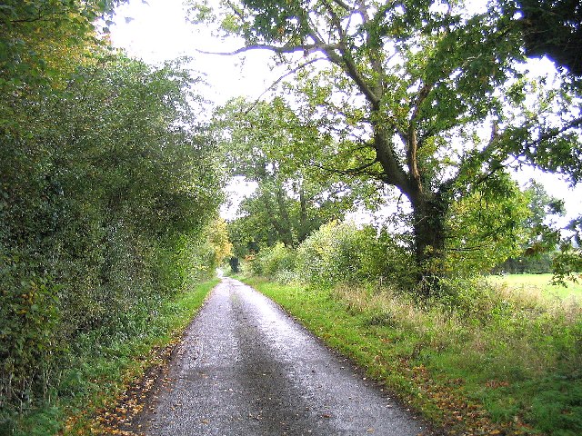 A quiet Suffolk Lane  near Bruisyard