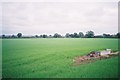 Farmland between Holyport and Fifield