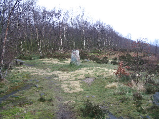 Trig Point on Loxley Common
