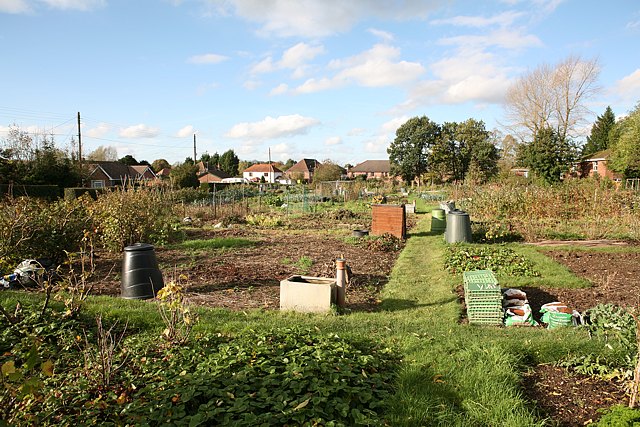 Allotments off Hill Lane, Colden Common