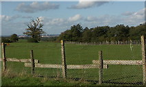 SU4107 : Field adjacent to Challenger Way, Hythe, Hants by Rosemary Nelson