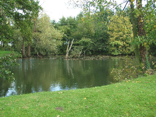 Great Witchingham Pond