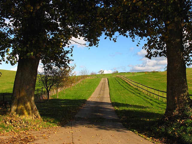 Byway to Wyfield Manor