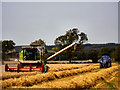 Harvesting on Gloagburn Farm