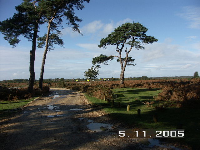 Junction of Norleywood Road and B3054, New Forest National Park, Hants
