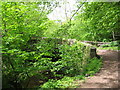 Bridge over the Grwyne Fechan