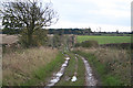 Public Byway near Coston