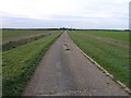 Lane on Bradwell Marshes