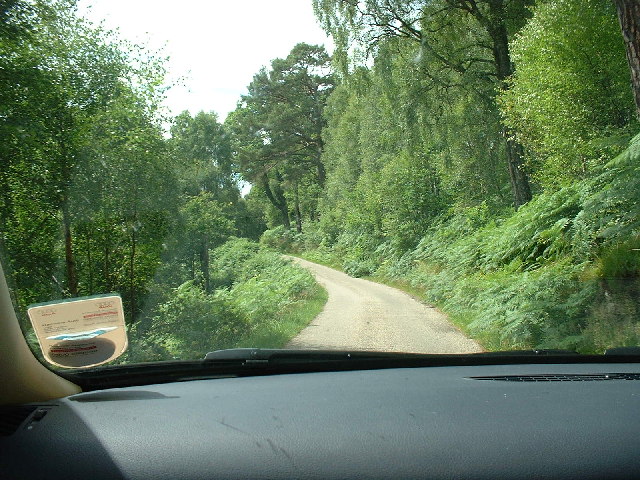 Road In Glen Garry