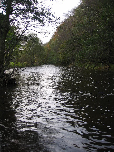 Derwent River at Allensford