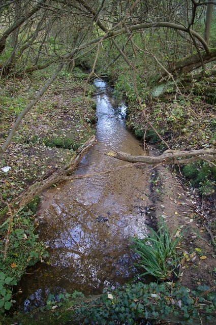 Stream between Brook Hill and Brookhill Wood