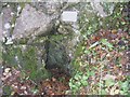 Tiny cave entrance in Carmel Woods