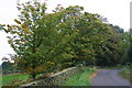 The Road from Muffles Bridge to Rosedale