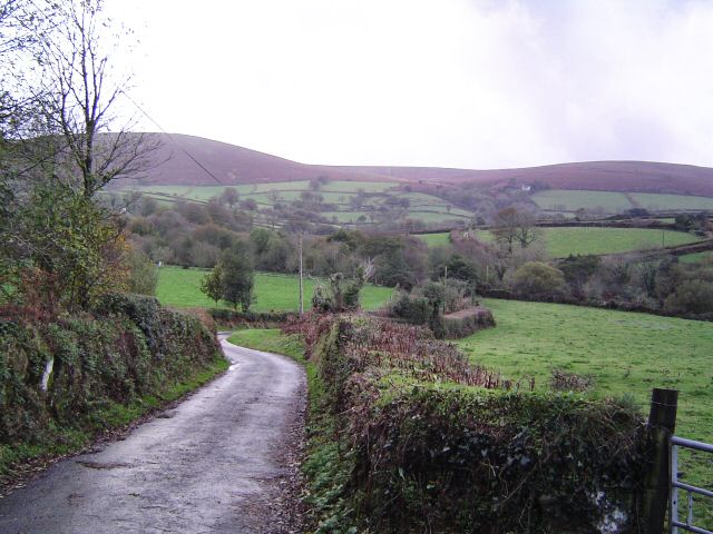Lane to Shapley and Hookner - Dartmoor