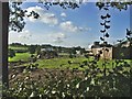 Farmland at Woodhurst Farm, Cattlegate Road