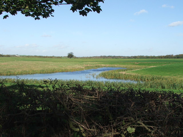 Pond on Back Lane.