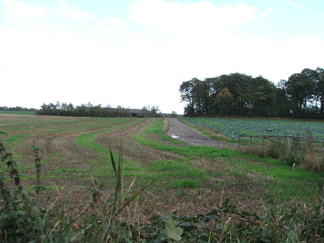 Green Lane Plantation.
