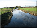 River Lagan looking upstream from Young