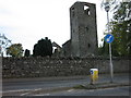 Ruins of the former Magheralin Parish Church