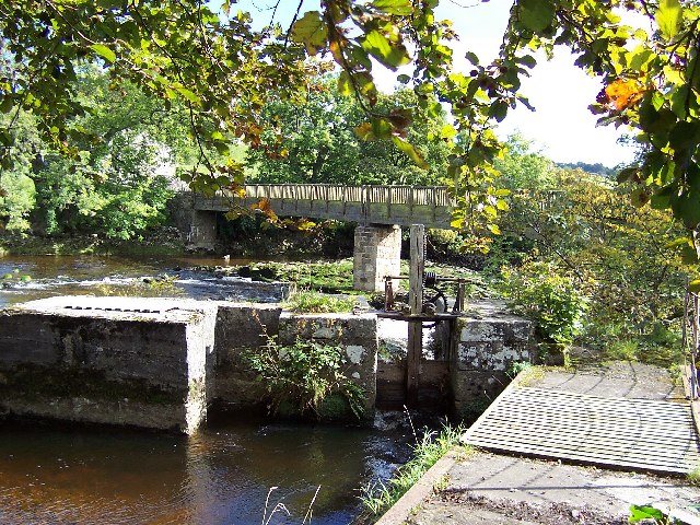 Tin Bridge over Linton Falls