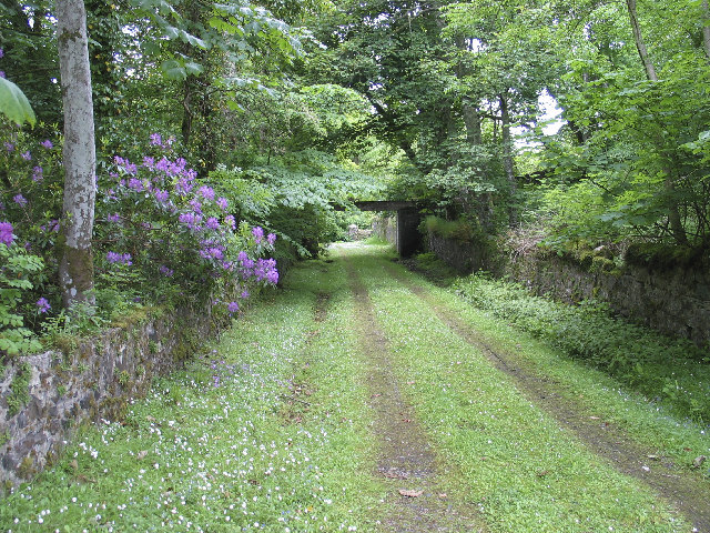 Approach to Old Kilarrow Cemetery