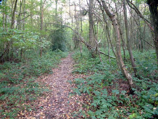 Footpath through Birches Croft, Knockholt TN14