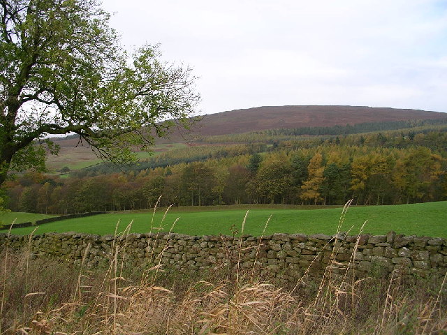 View towards Strid Wood & Barden Fell