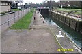 River Thames: Shepperton Lock