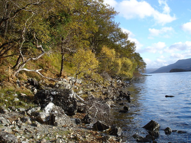 Wooded shoreline of Loch Maree