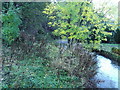 Farnley Beck