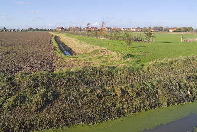 Drainage ditches outskirts of Weston, looking NNW