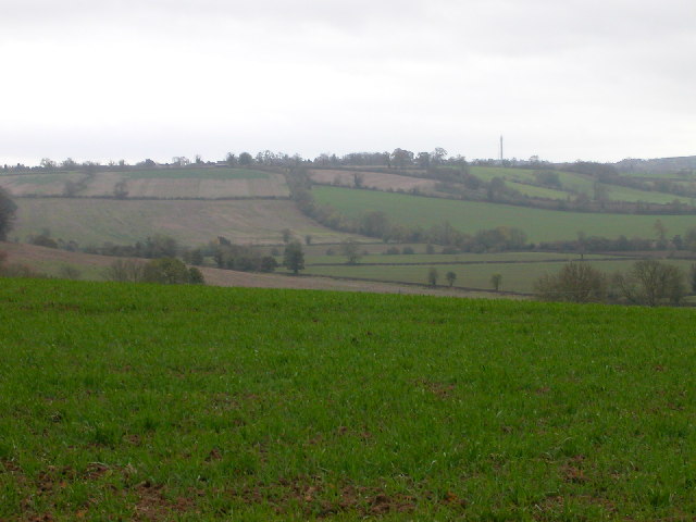 Main fields