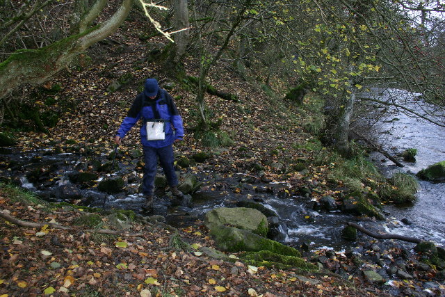 Footpath by the Rookhope Burn