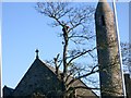 Tree Surgeon.