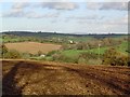 South Hams countryside - Devon