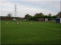 SU5119 : Stroudwood Dairy Farm by Hugh Venables