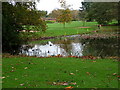 SU5513 : Golf course pond by Hugh Venables