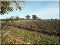 Ploughed field, near Wramplingham